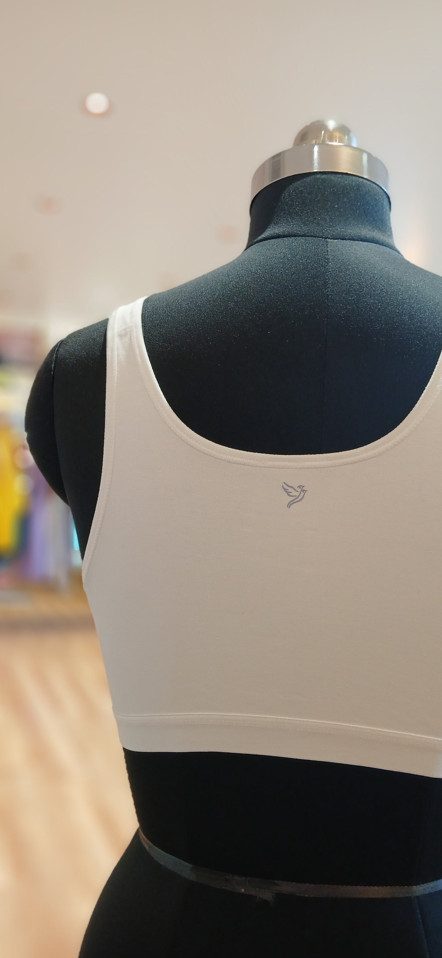 Solid Sports Bra