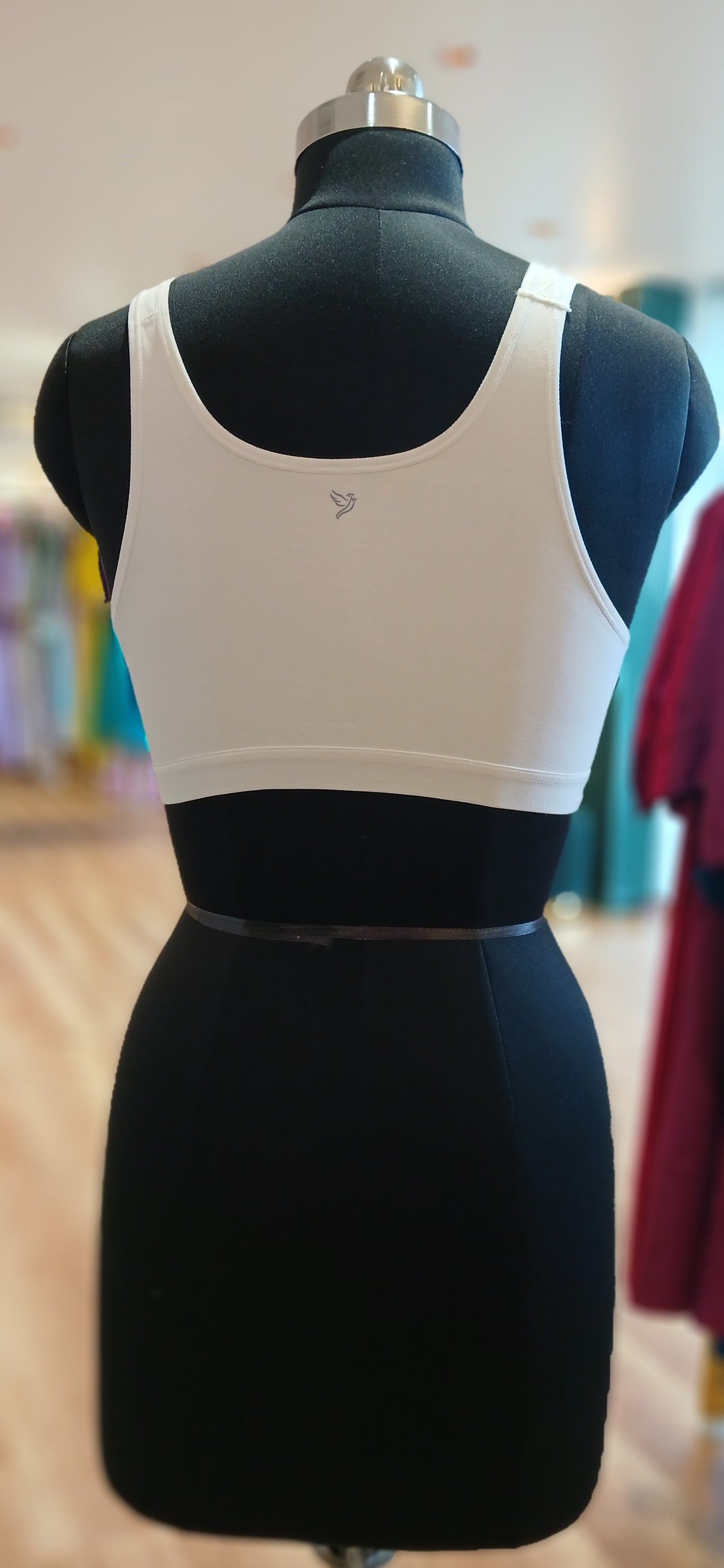 Solid Sports Bra
